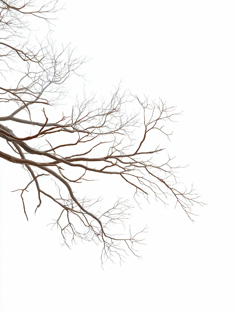 Minimalist branches background